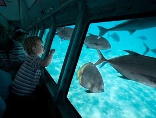 Submarine trip in Sharm El Sheikh