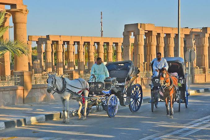 Luxor City tour on Horse Carriage