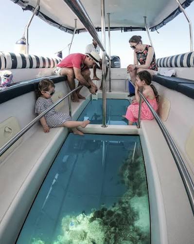 Glass bottom boat in Sharm El Sheikh