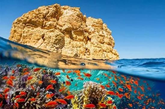 Ras Mohammed National Park