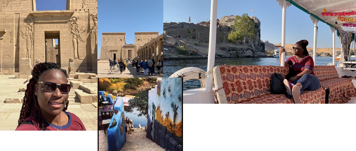 Aswan Day tour from Luxor City